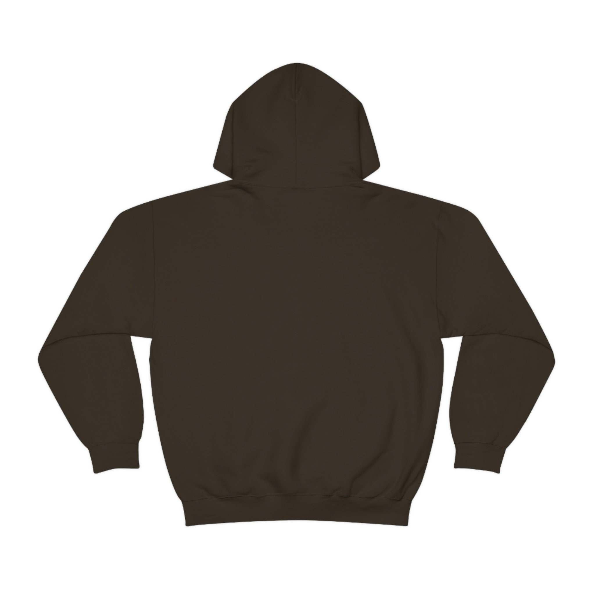 Chocolate color online hoodie