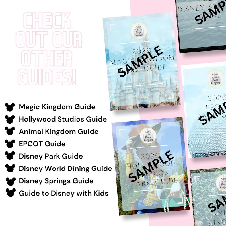 2026 Guide to Disney World Parks With a Baby/toddler/child - Etsy