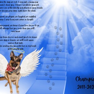 Pet memorial gift, Personalized Pet memorial, Pet Keepsake wall decor