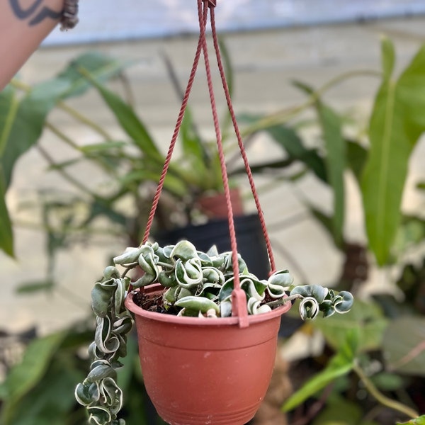 Hindu Rope Variegated - Etsy