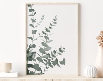 Eucalyptus Print Botanical Print Wall Decor Botanical Art Plant Print Eucalyptus Art Print Printable Wall Art Leaf Print Eucalyptus Art