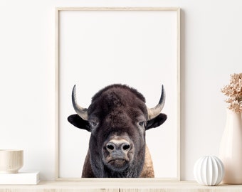 Bison Wall Art, Buffalo Print, American Bison Print, Buffalo Print, Farmhouse Decor, Nursery Wall Art, Kids Room Decor, Bison Poster Art