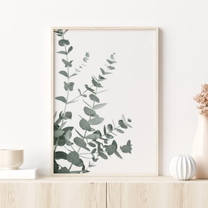 Eucalyptus Print Botanical Print Wall Decor Botanical Art Plant Print Eucalyptus Art Print Printable Wall Art Leaf Print Eucalyptus Art