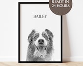 Custom Pet Portrait Photo Gifts Dog Portraits Custom Dog Portrait Custom Digital Pet Memorial Gifts Portrait From Photo Custom Cat Portrait