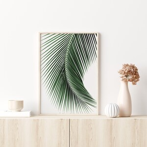 K&ouml;nnte beinhalten: Ein gerahmter Druck eines einzelnen gr&uuml;nen Palmblattes vor wei&szlig;em Hintergrund. Der Druck wird auf einem hellen Holzregal mit einer kleinen wei&szlig;en Schale und einer Vase mit getrockneten Blumen ausgestellt.