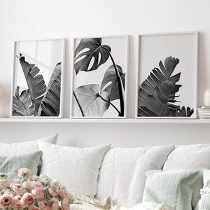 Pode incluir: Tr&ecirc;s impress&otilde;es em preto e branco de folhas tropicais emolduradas. As impress&otilde;es est&atilde;o dispostas em uma fileira em uma prateleira branca. As folhas est&atilde;o em diferentes est&aacute;gios de crescimento, com algumas folhas totalmente desdobradas e outras ainda enroladas.