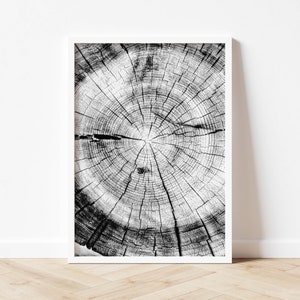 Prints Tree Rings Black And White Wall Art Wood Prints Minimalist Wall Art Tree Rings Nordic Art Large Wall Art Black White Print Poster