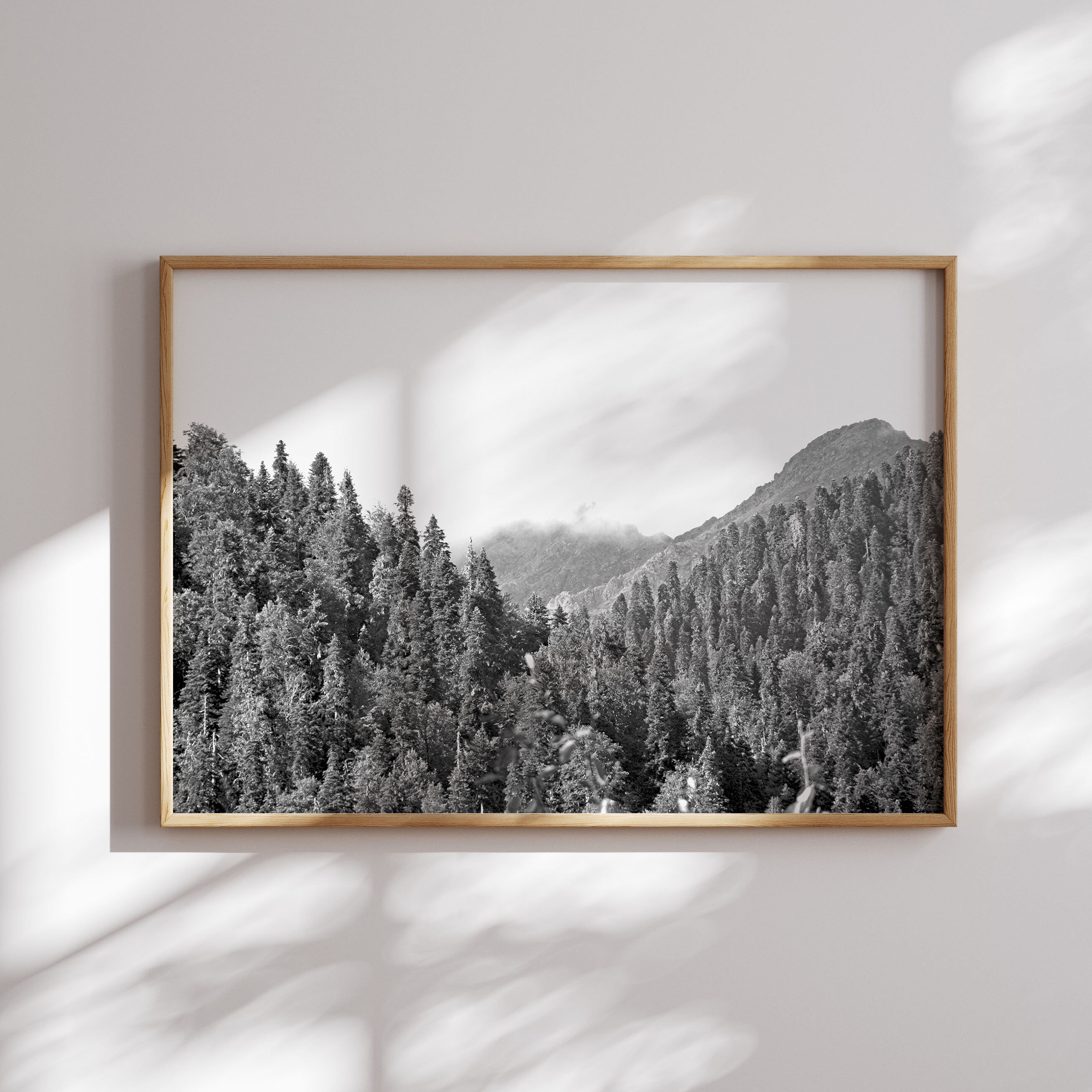 Set of 6 Horizontal Prints, Black and White Prints, Nature Prints