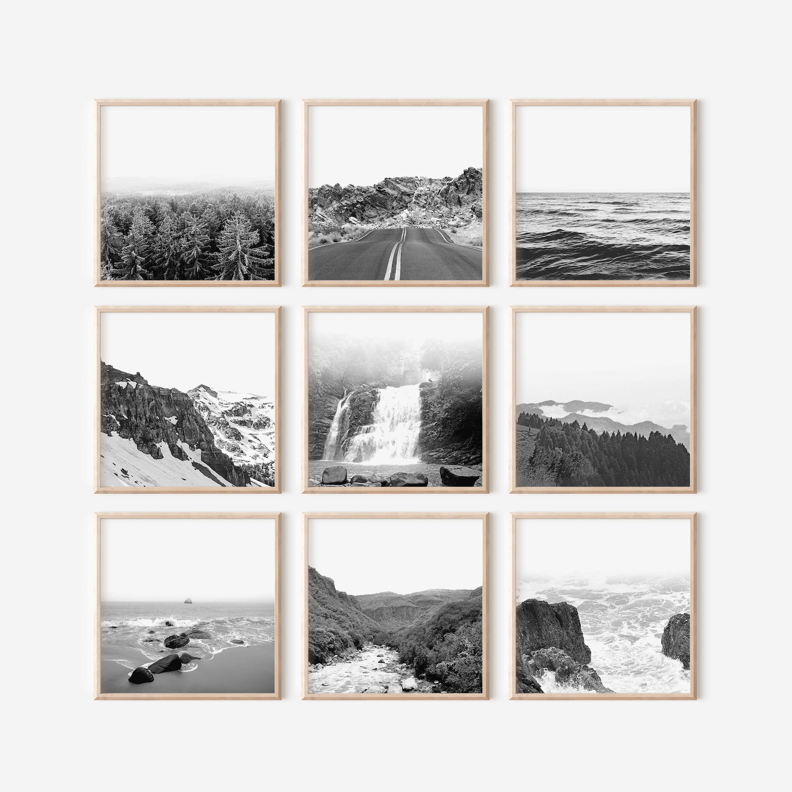 Set of 9 Wall Art Black and White Prints Nature Prints Square Prints