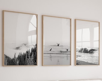 Set of 3 Prints Home Wall Art Black and White Prints Nature Prints Set of 3 Wall Art Art Prints Decor Coastal Prints Nordic Wall Art