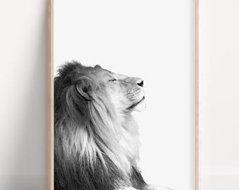 Lion Print Lion Printable Safari Nursery Digital Download Lion Animal Print Lion Wall Art Black and White Lion Photo Nursery Decor Lion Art