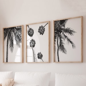 May include: Three framed black and white photographs of palm trees. The photos are in wooden frames and are hung on a white wall.