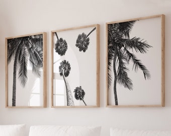 Palm Tree Prints, Set of 3 Prints, Black and White Set of 3, Wall Decor, Tropical Print, Palm Tree Set, Wall Art, Palm Print, Digital Prints