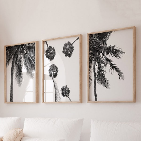 Impressions de palmiers, lot de 3 impressions, lot de 3 noir et blanc, décoration murale, impression tropicale, ensemble de palmiers, art mural, impression de palmiers, impressions numériques