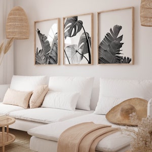Pode incluir: Tr&ecirc;s impress&otilde;es em preto e branco de folhas tropicais emolduradas penduradas em uma parede branca acima de um sof&aacute; branco com almofadas e um cobertor bege.