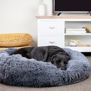 May include: A black dog sleeping in a gray fluffy dog bed. The bed is round and has a raised edge. The dog is curled up in the center of the bed.