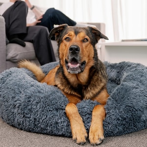 New 2026 Version - Official Brooklyn Calming Dog Bed, Loved by 100k, Double Filling, Dog Beds for Large Dogs, Anti-Anxiety, Machine Washable image 17