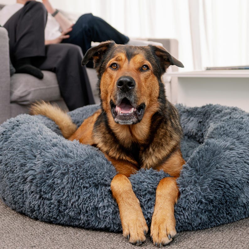 New 2026 Version - Official Brooklyn Calming Dog Bed, Loved by 100k, Double Filling, Dog Beds for Large Dogs, Anti-Anxiety, Machine Washable image 17