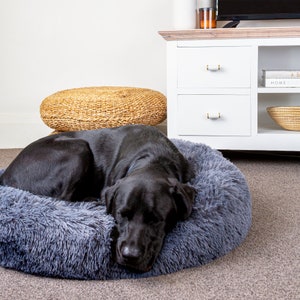 May include: A black dog sleeping in a gray fluffy dog bed. The bed is on a light brown carpet.