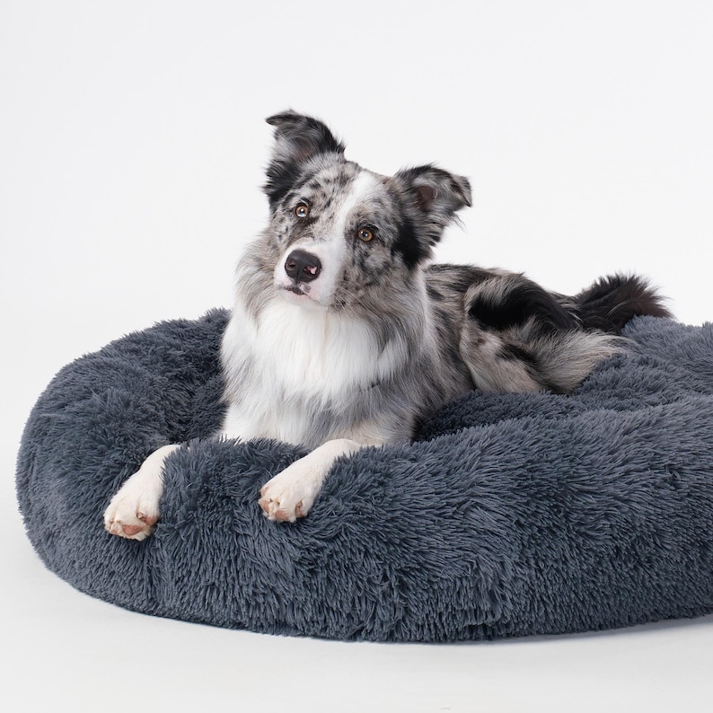 New 2026 Version - Official Brooklyn Calming Dog Bed, Loved by 100k, Double Filling, Dog Beds for Large Dogs, Anti-Anxiety, Machine Washable image 12