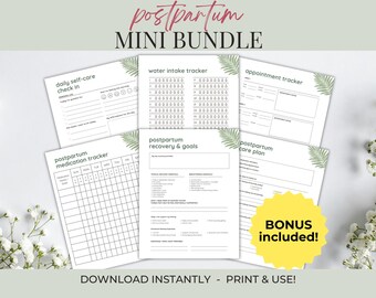 Postpartum Care Kit Printable, Fourth Trimester Journal, New Mom Recovery Goals, Postpartum Medication Tracker PDF