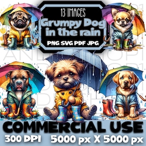 Grumpy Dog in the rain Bundle Digital Instant Download Clipart png dog Sublimation POD Files & Images for Crafting umbrella pod puppy