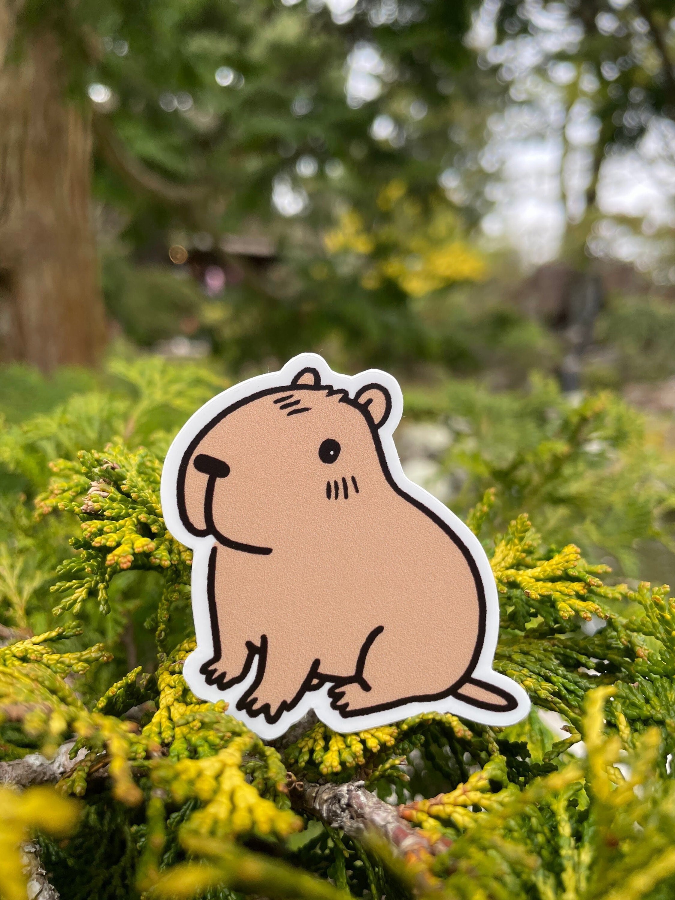 Cute funny capybara with a doughnut for capybara lovers Sticker for Sale  by Yarafantasyart in 2023