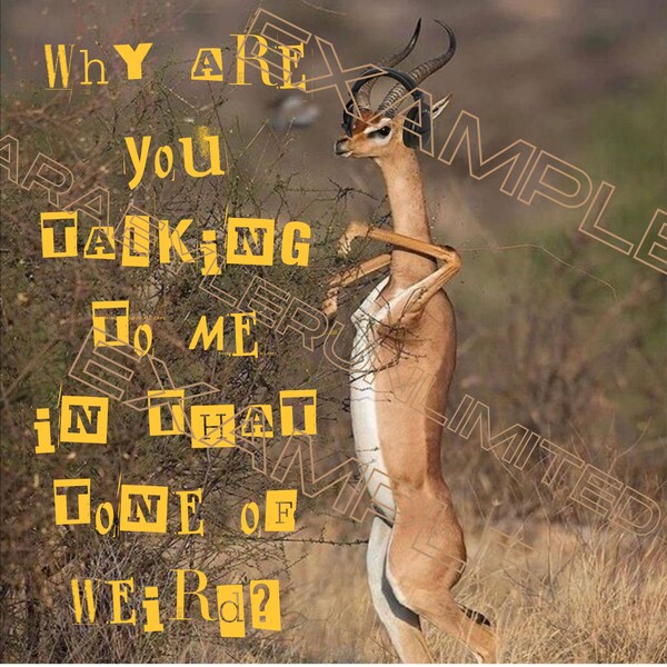 Why Are You Talking To Me In That Tone Of Weird? Digital Download PNG JPG or PDF Print Image of a Gerenuk Antelope comically on hind legs