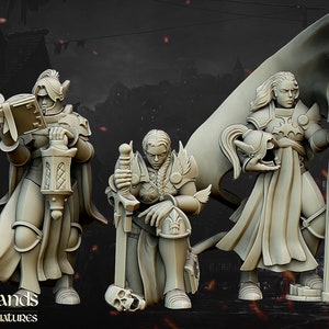 Warriors of the Lady Command by Highlands Miniatures - 3D Print - Fantasy - RPG