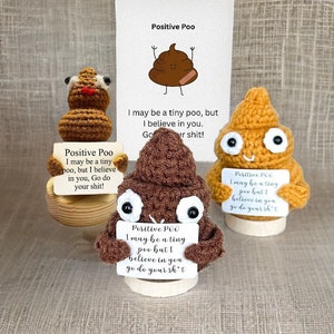 Positive Crochet poo, Unique Funny Gift, Positive Poo Doll, Cheer Up Gift, Tiny Crochet Poop With Positive Words, Crochet Poo Plushy Decor