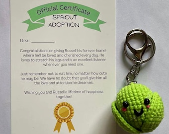 Adopt Little Brussels Sprout - Handmade Crochet Unique Gift for Her or Him - Funny and Silly Gag Gift l Perfect for Birthdays and Summer