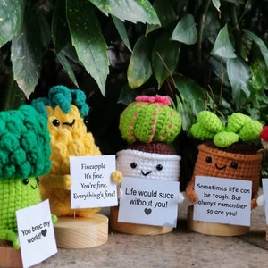 May include: Five crocheted plushies, each with a different design and a message. The plushies are a pineapple, a broccoli, a cactus, a succulent, and a mushroom. The messages are: "Fineapple It's fine. You're fine. Everything's fine!" "Life would succ without you!" "Sometimes life can be tough. But always remember so are you!" "I HAVE S MUSHRO FOR YOU HEART"