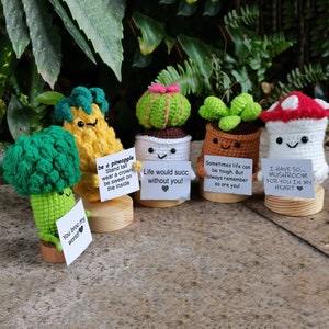 May include: Five crocheted amigurumi figures with hand-written messages on small signs. The figures are a pineapple, a cactus, a succulent, a broccoli, and a mushroom. The figures are all smiling and have happy faces.
