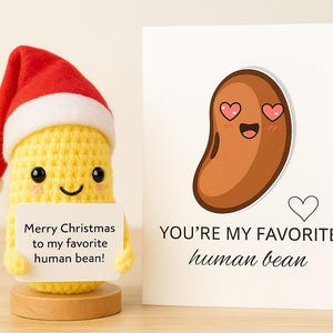 Frijoles de ganchillo navideños con gorro de Papá Noel - Decoración festiva hecha a mano l regalo único de Navidad l regalo de Papá Noel para ella l Frijol humano favorito