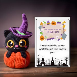 Calabaza de peluche tejida a crochet hecha a mano: regalo "Parte favorita", decoración acogedora de otoño, tarjeta con mensaje inspirador, compañero de escritorio de Halloween (10 cm)