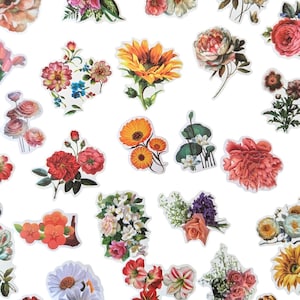 Pacote de adesivos divertidos com lindas flores (muitas variações diferentes)