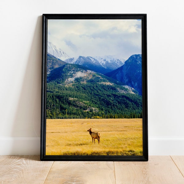 Le wapiti à Jasper en Alberta | Impression de photographie numérique | Décoration murale | Imprimé montagne | Impression paysage | Haute résolution | Photographie imprimable