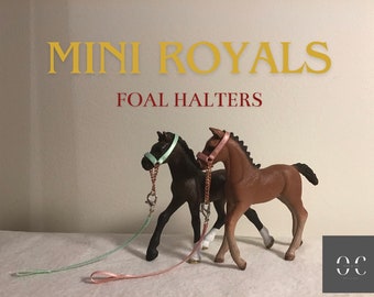 Mini Royals Fohlenhalfter