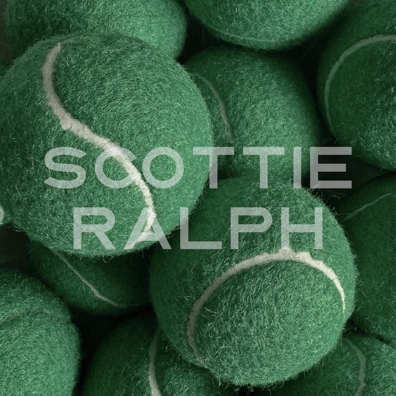Custom Tennis Balls | Custom Shop - Wedding Party Favors for Dog Parents, Personalized with Names, Hosting Gift, Gender Reveal Evergreen - White