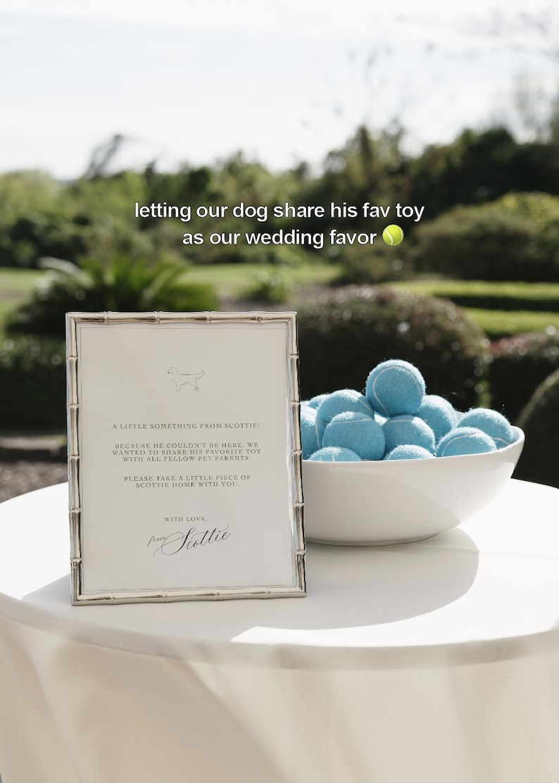 May include: A silver bamboo-style frame holding a sign that reads A LITTLE SOMETHING FROM SCOTTIE, BECAUSE HE COULDN'T BE HERE. WE WANTED TO SHARE HIS FAVOURITE TOY WITH ALL FELLOW PET PARENTS. PLEASE TAKE A LITTLE PIECE OF SCOTTIE HOME WITH YOU.
