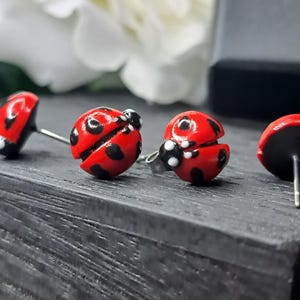 May include: Close-up of ladybird stud earrings. The earrings are red with black spots and a black head. The earrings are on a dark grey surface. The earrings are made of a glossy material.