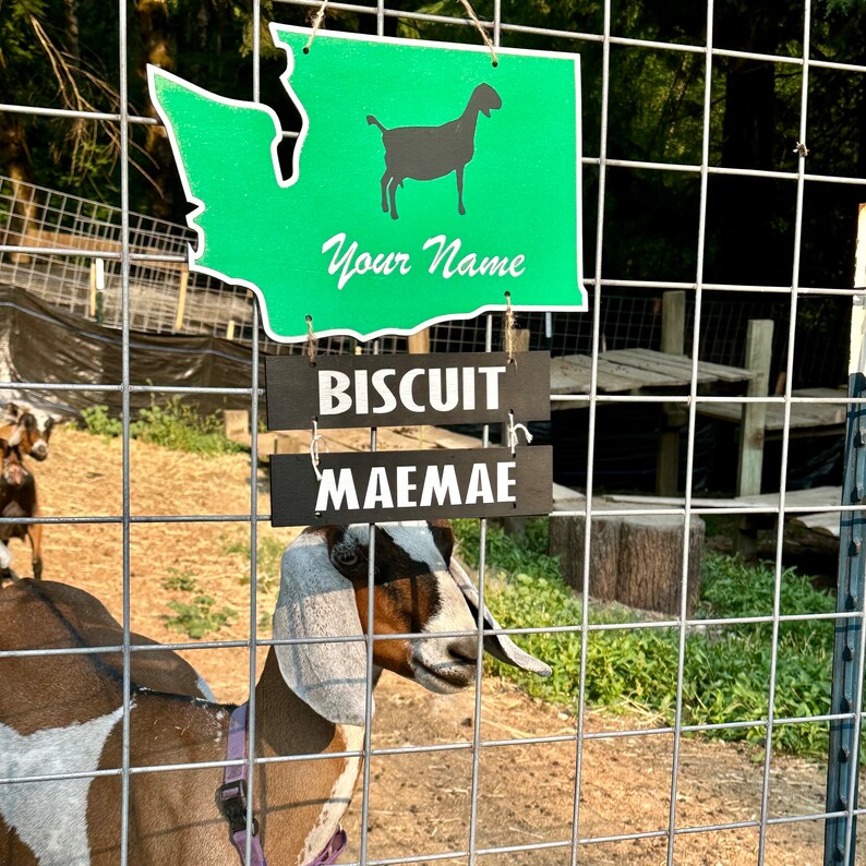 Farm Animal Name Tag For Stall Any State Cage Or Pen 4 H Etsy farm-animal-name-tag-for-stall-any-state-cage-or-pen-4-h-etsy