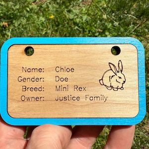 Personalized Wooden Cage Tag: Small Animal Show Nameplate