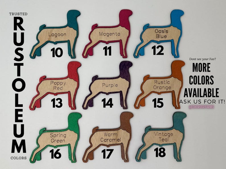 Customizable Pig Hog Stall Tag or Name Plate Label for Fairs and ...