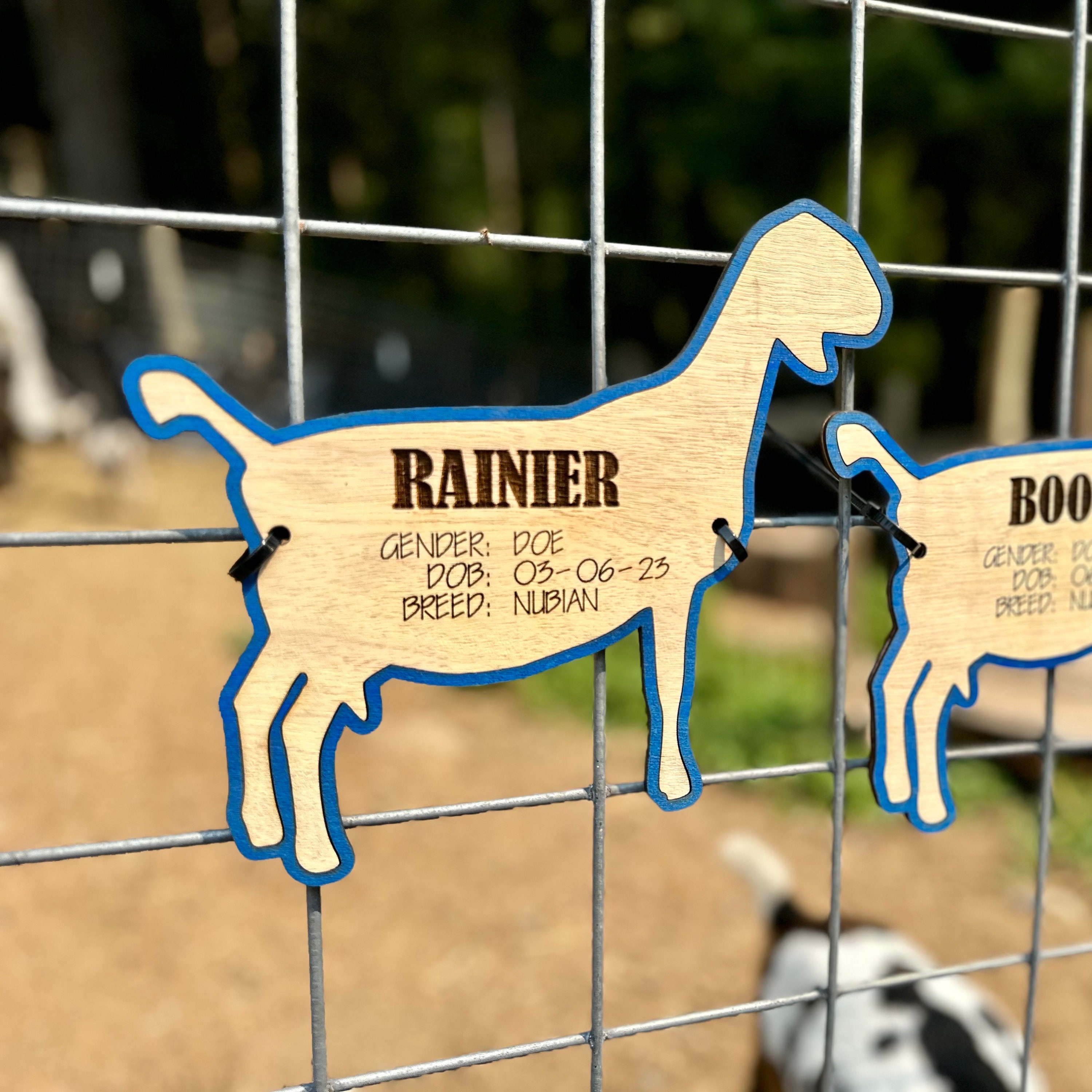 Goat Stall Tag or Pen Name Plate Label for Livestock Shows Etsy