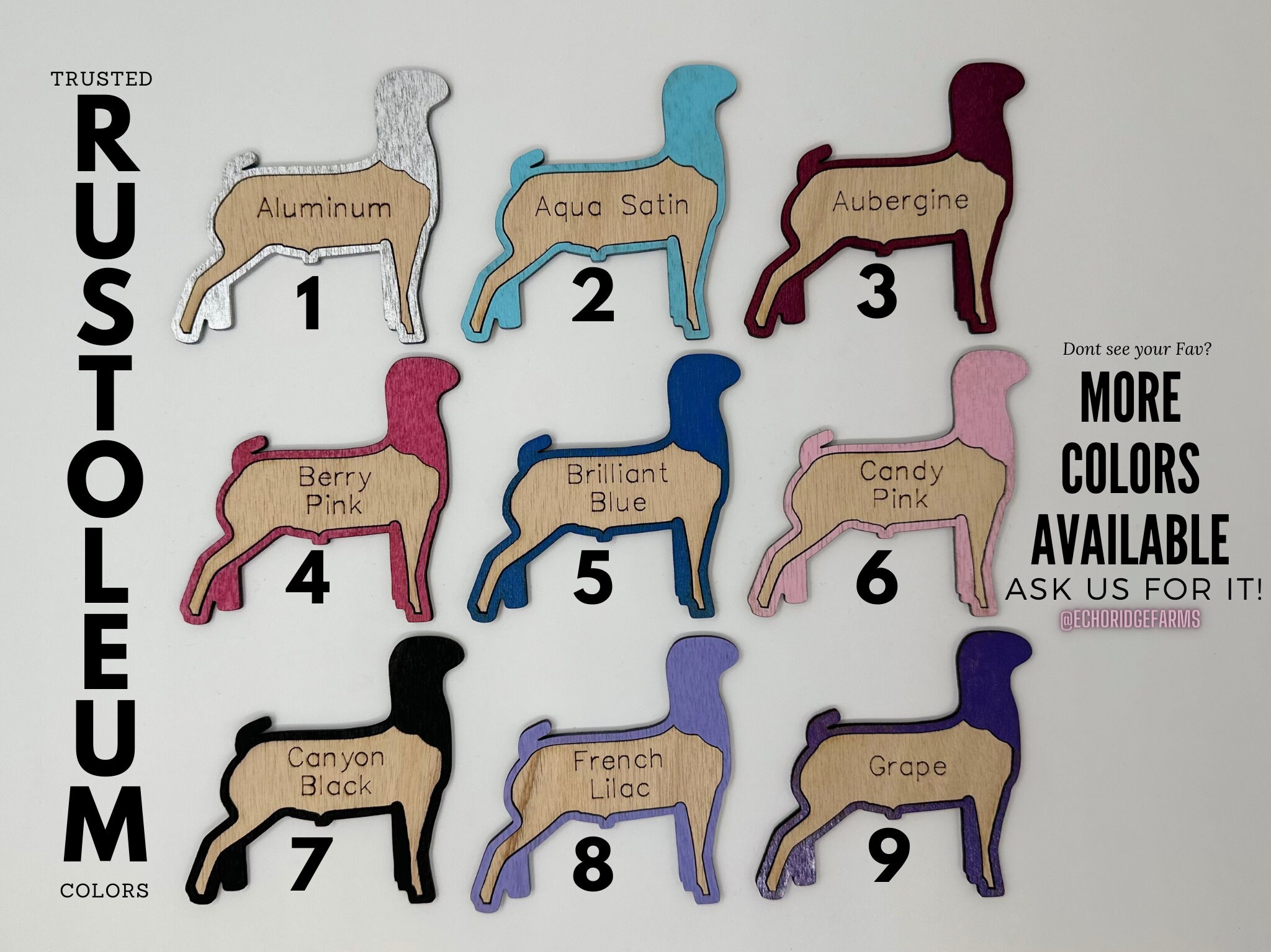 Customizable Pig Hog Stall Tag or Name Plate Label for Fairs and ...
