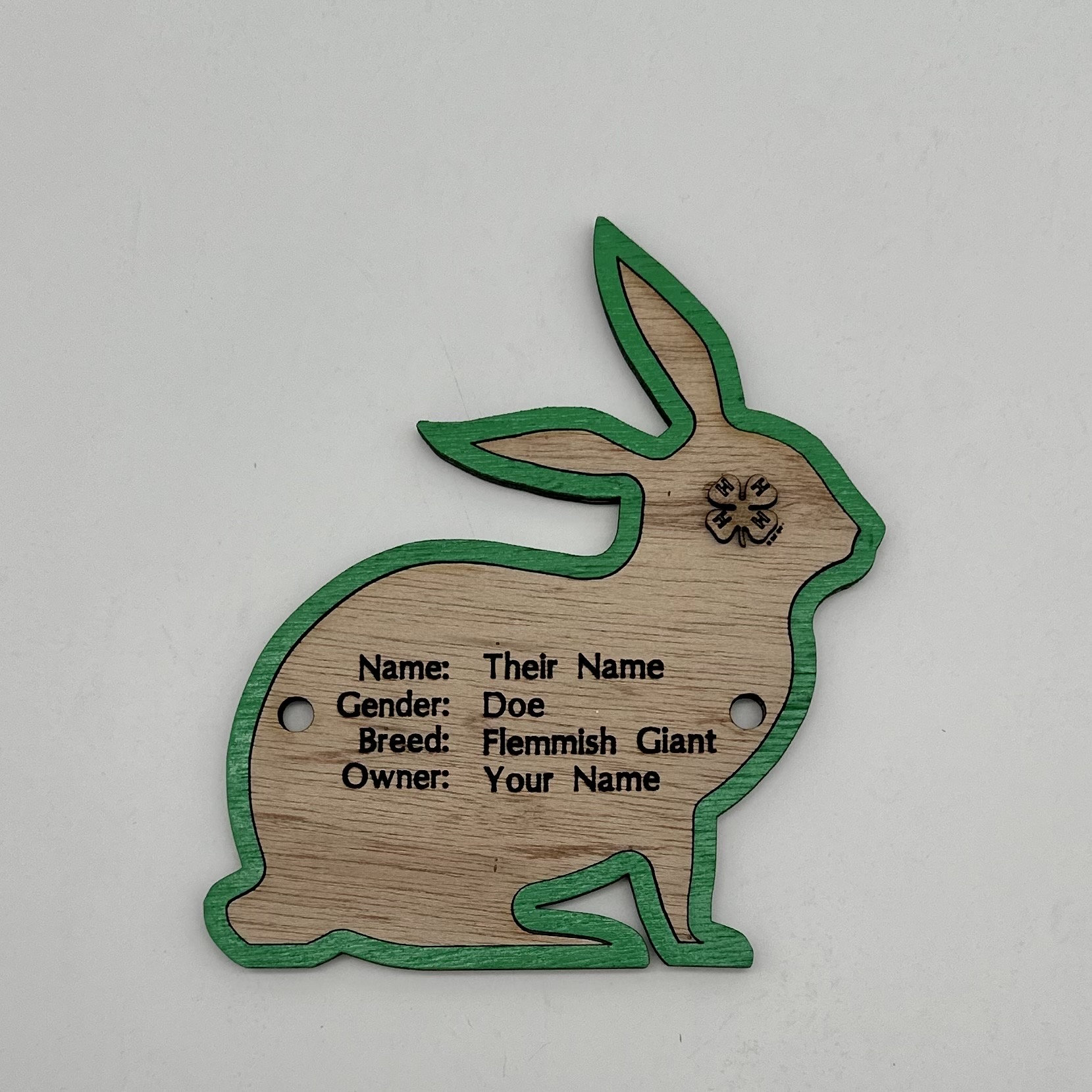 5 Rabbit Cage Tag Pen Stall Name Plate Label for Livestock Shows Bunny Etsy