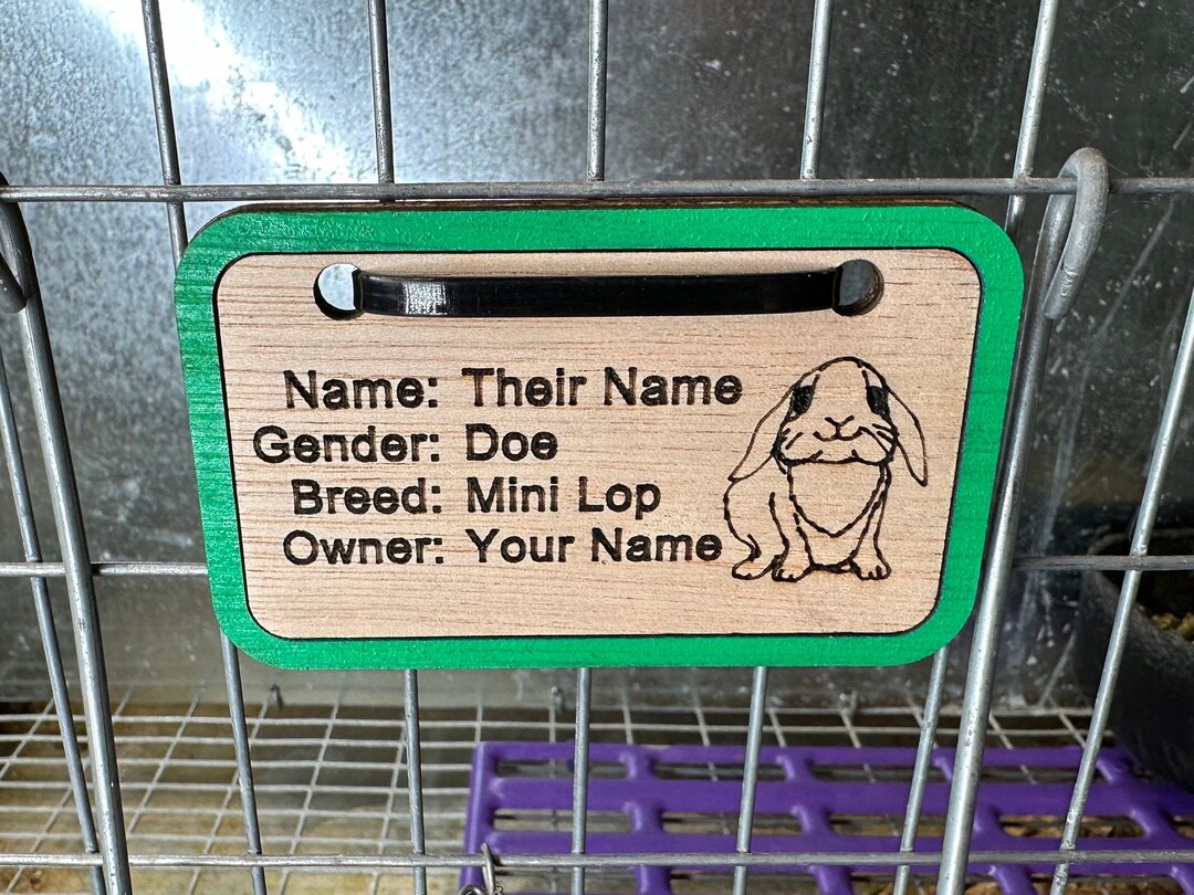 Cage Tag or Nameplate for Fairs or Livestock Shows for Any Small Animal ...
