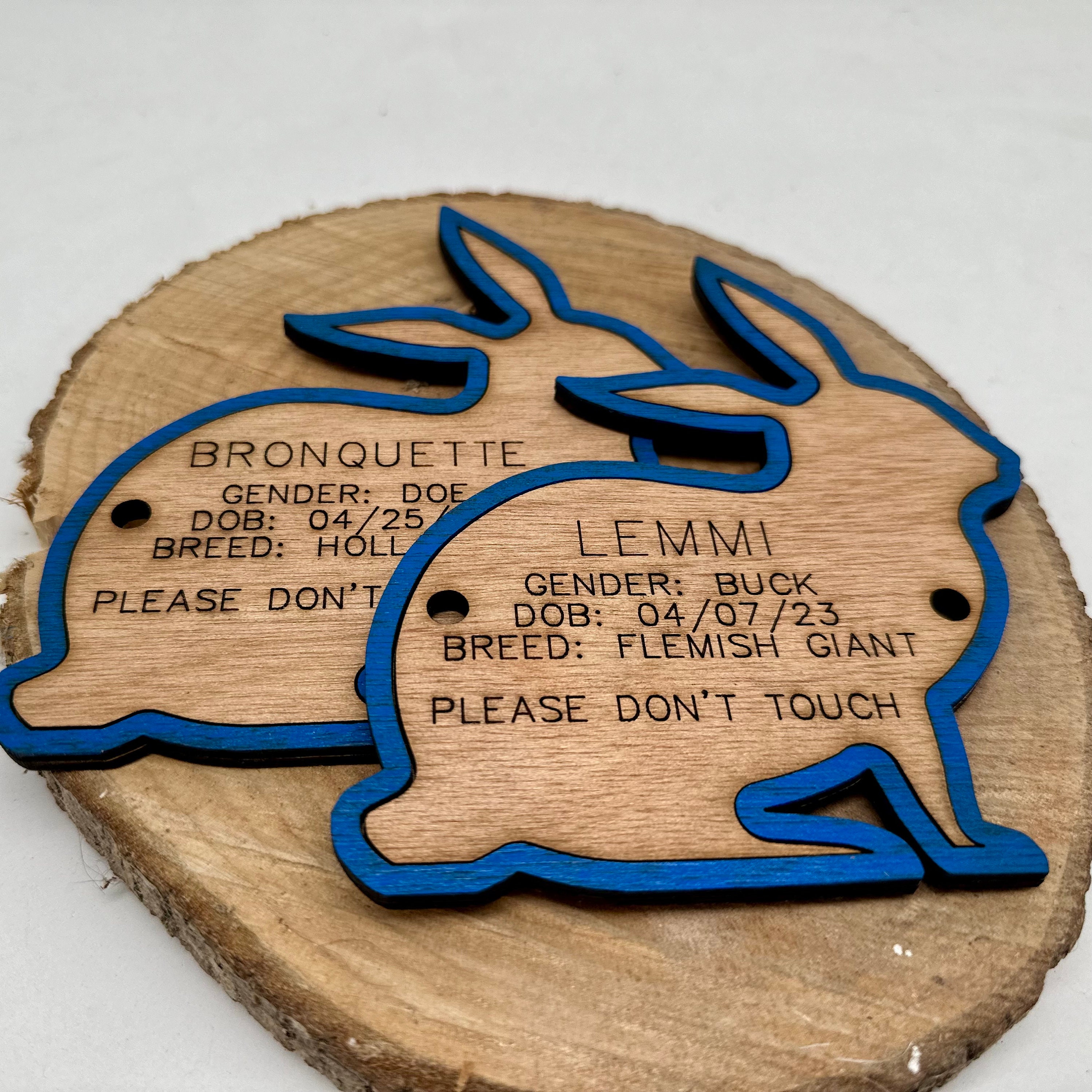 Rabbit Cage Tag Pen Stall Name Plate Label for Livestock Shows Etsy