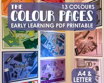 Pósteres de aprendizaje en color, decoración de aula inspirada en Reggio (PDF)